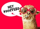 valentijnskaart grappig hey knapperd lama